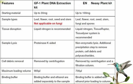 Plant DNA Purification Kit - seraglob