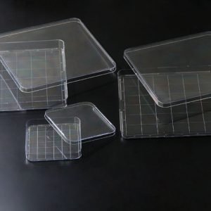 Square Dishes for Microbiology