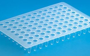 96 well PCR Plate, unskirted, transparent PP, molded-in alphanumerical lettering, 25 pcs.