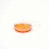 Bioswisstec "Lime Green Line" TC PETRI DISH 60X15MM - Image 2