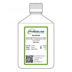 SeraScript DNA-Polymerase Kit, W: 10x NZH4 Reaction Buffer, w: 10x KCL Reaction Buffer, w: 50 mM MgCL2, 1 x 500 Units